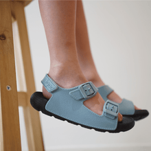 画像をギャラリービューアに読み込む, igor MAUI NEGRO